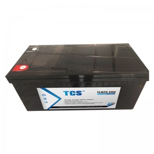 Energy Storage Lithium ion Battery TLB24-200