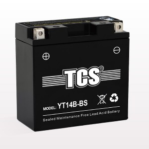 Professional Design Gel Battery - TCS Motorcycle Sealed Maintenance Free Lead Acid Battery YT14B-BS – SongLi