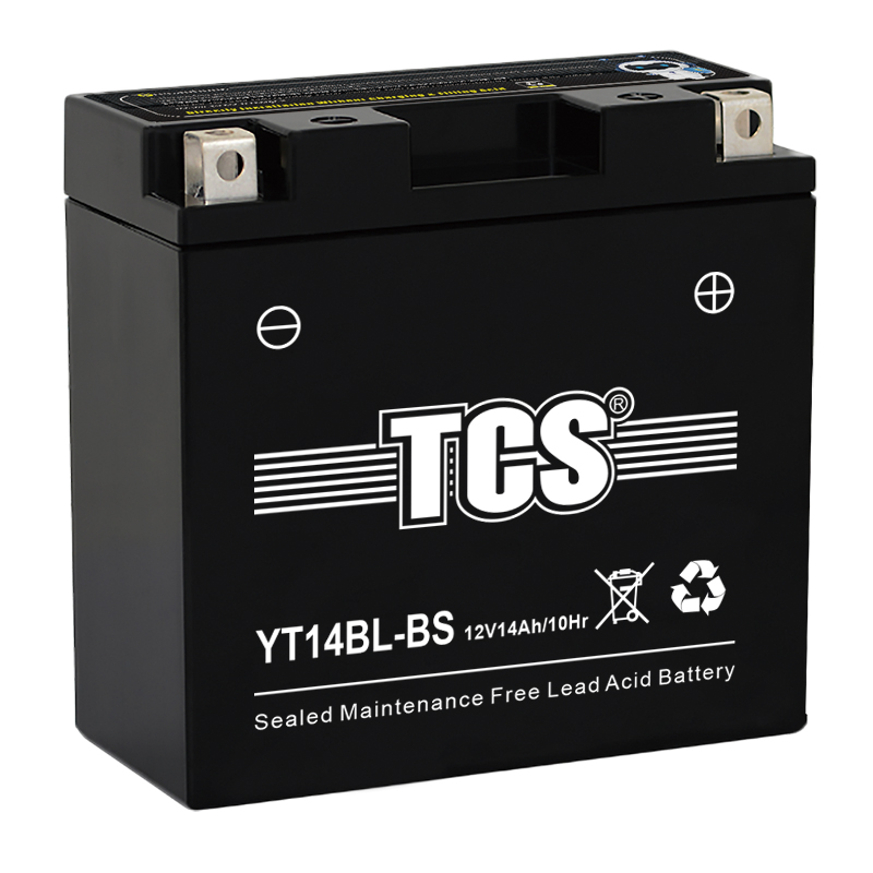 TCS SMF Battery YT14BL-BS