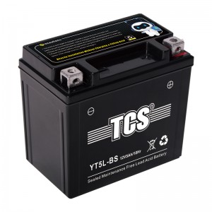 TCS SMF Battery YT5L-BS