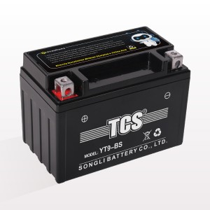 Lowest Price for 12 Volt 14ah Motorcycle Battery - TCS Motorcycle Sealed Maintenance Free Lead Acid Battery YT9-BS – SongLi