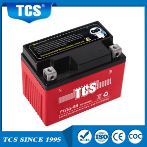 TCS SMF Battery YTZ5S-BS