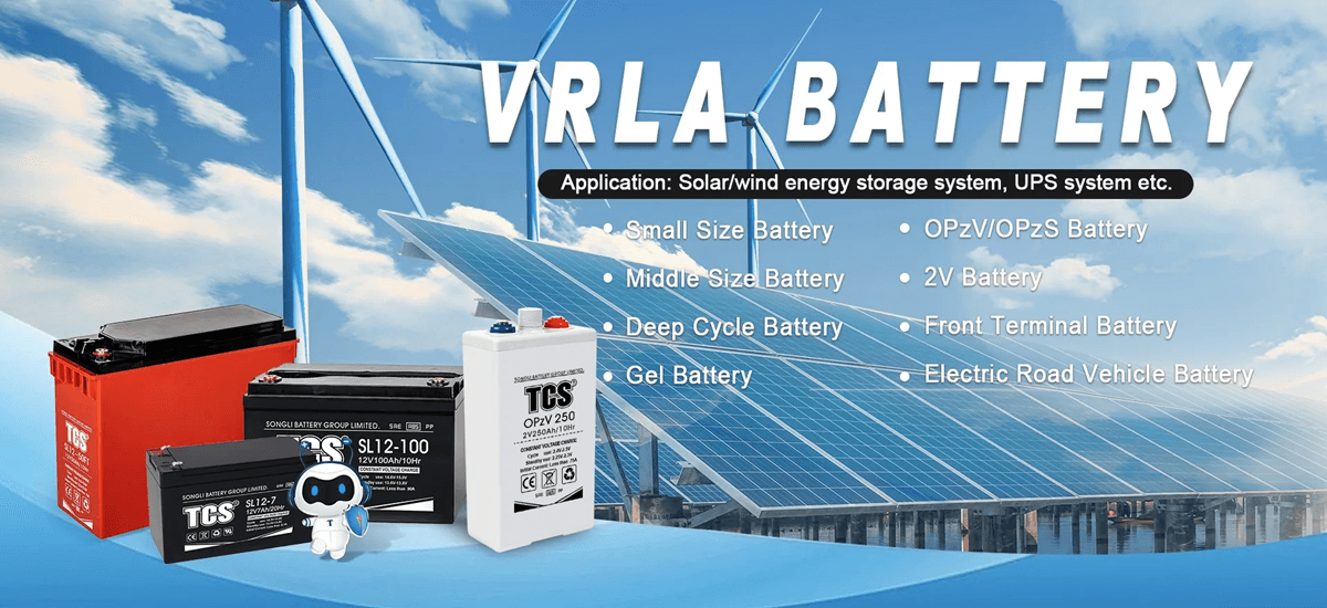Reasons to Choose TCS 12 Volt Battery for Your Power Needs