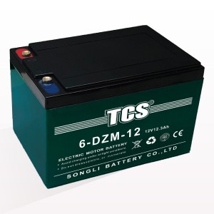 TCS electric bike scooter battery group package 6-DZM-12
