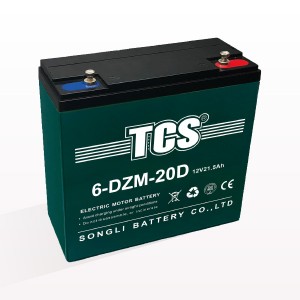 TCS electric bike scooter battery group package   6-DZM-20D