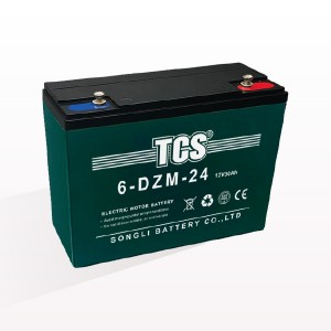 Electric bicycle E bike scooter battery TCS 6-DZM-24