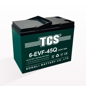 China Cheap price Battery Scooty - TCS electric bike scooter battery group package 6-EVF-45Q – SongLi