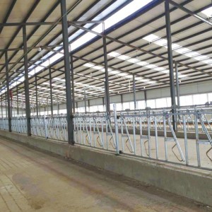 Professional China Poultry Farming Equipment - Cattle Headlock – SSG