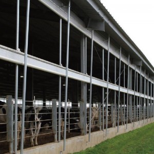 Hot New Products Cross Ventilation Dairy Barn -
 Roll Up Curtain for Dairy Barn Ventilation – SSG