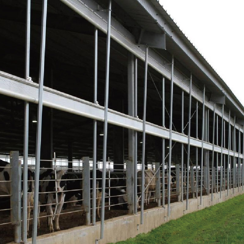 Roll Up Curtain for Dairy Barn Ventilation