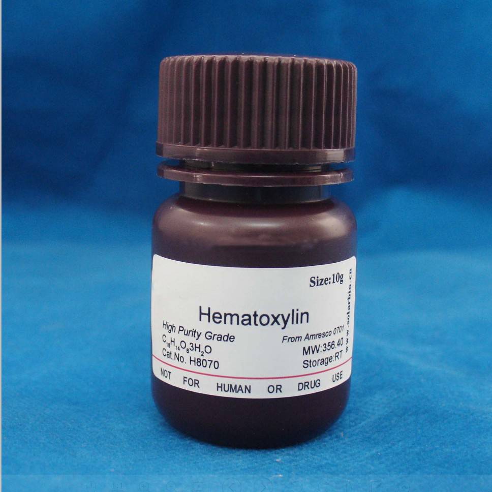 سٹیننگ کے لئے hematoxylin
