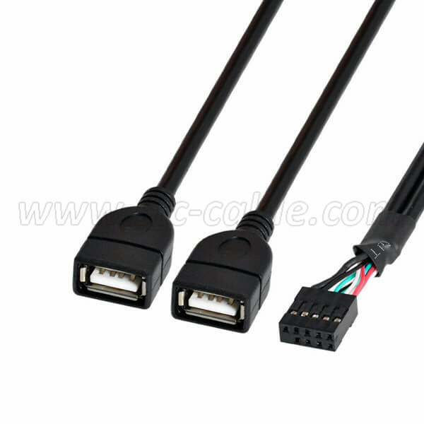 High Quality Black Motherboard 20pin to Dual USB a Female Cable