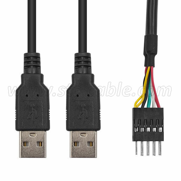 Cavo doppio USB 2.0 tipo A maschio a DuPont 10 pin maschio per scheda madre