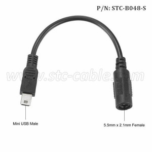 DC 5.5mm x 2.1mm female to Mini USB male Power Cable