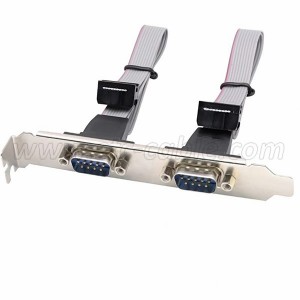 Dual DB9 Male to IDC 10Pin Female Ribbon Cable with Bracket Panel