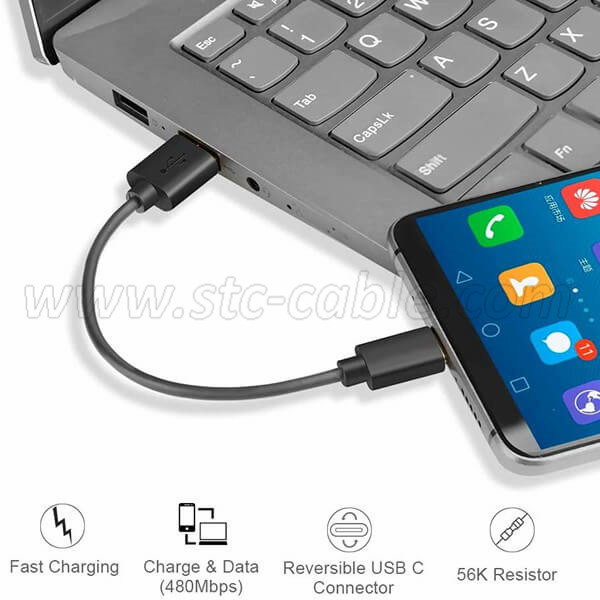 Short USB C Charge Cable