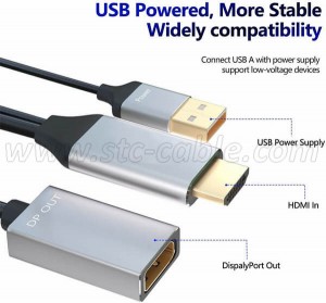 HDMI to DisplayPort Cable Adapter Converter with USB Power