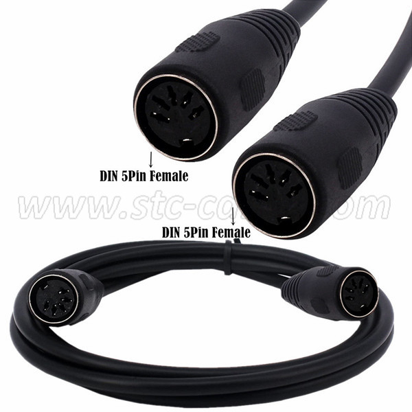 Personlized Products 5 Pin Male MIDI DIN Plug to 2 X RCA Phono Male Plugs Audio Cable