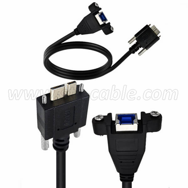 OEM Factory for China Left Angle Type C 3.1 to USB 3.0 Male Data Cable Gold-Plated with Locking Screw