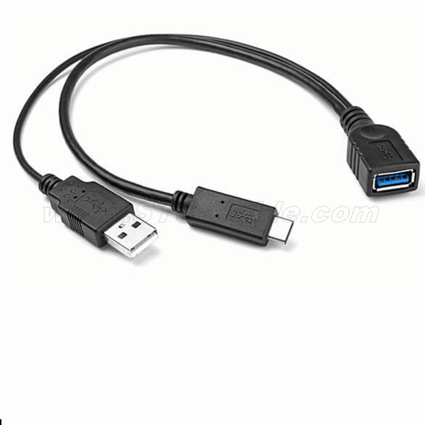 Cables 25CM 0.25M 1M 3.1 Type-c USB 2.0 Mini USB 5pin Male to Male Data Charging OTG Converter Adapter Cable Connector USB-C Micro-USB Cable Length: 100cm, Color: Black