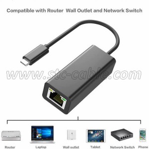 USB C to Gigabit Ethernet Adapter