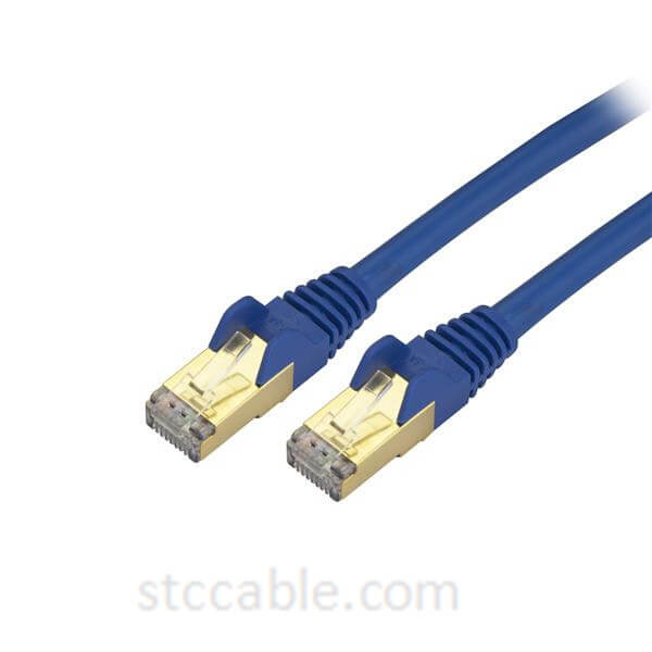 1 ft (0.3m) Snagless Blue Cat 6a Cables