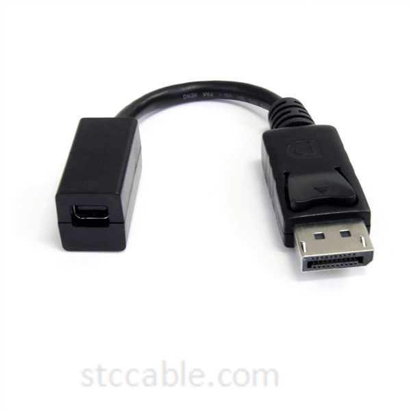 6in DisplayPort to Mini DisplayPort Video Cable Adapter – male to female