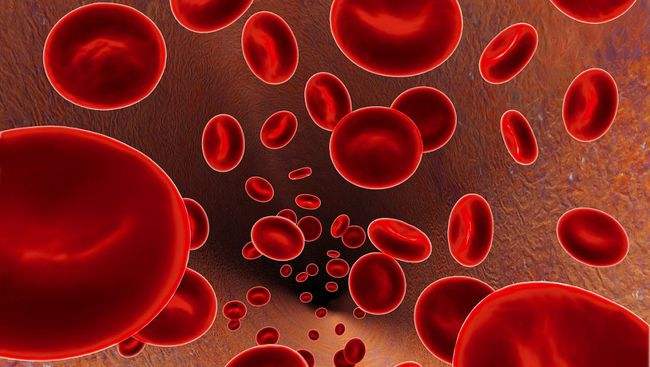 Who Is At High Risk Of Thrombosis?