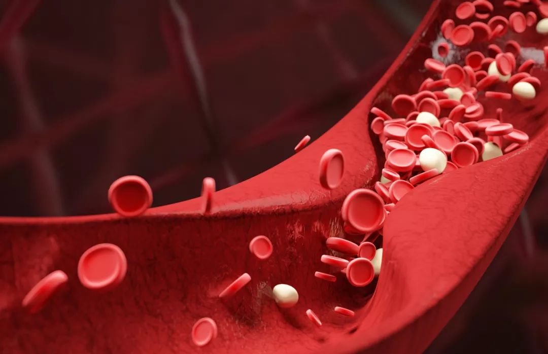 Come migliorare la scarsa coagulazione del sangue?
