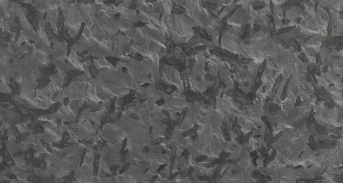 OEM/ODM Factory Santa Cecilia Light Granite Slabs - Matrix Leather Face Granite Slabs – Xinxing