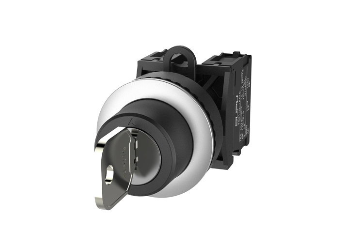 Recessed Key Switch (TS2 Series)