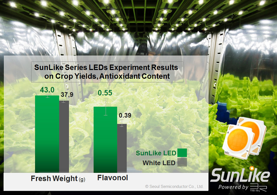 A iluminação da horticultura usando os LEDs SunLike da Seoul Semiconductor ajuda a melhorar o rendimento das colheitas e o conteúdo antioxidante