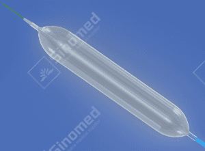 I-Balloon Dilation Catheter