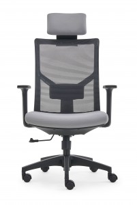 Mesh Back Ergonomic Office Chair with Height Adjustable Arms