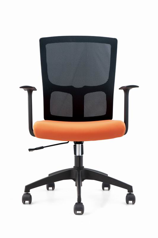Ergonomic Armrest Task Chair with Back (2)