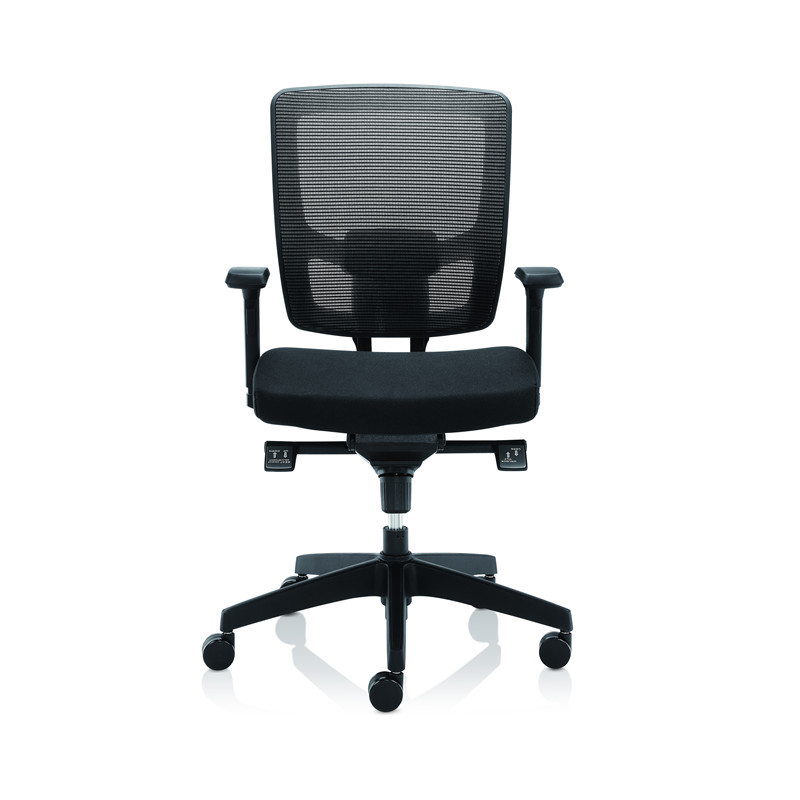 Ergonomic Office Chair with Height Adjustable Arms (1)