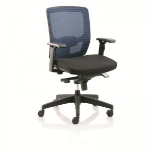 Ergonomická kancelářská židle s výškově nastavitelnými rameny