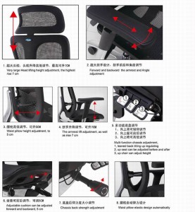 I-Ergonomic Office Chair ene-Lumbar Support Back, i-Adjustable Headrest