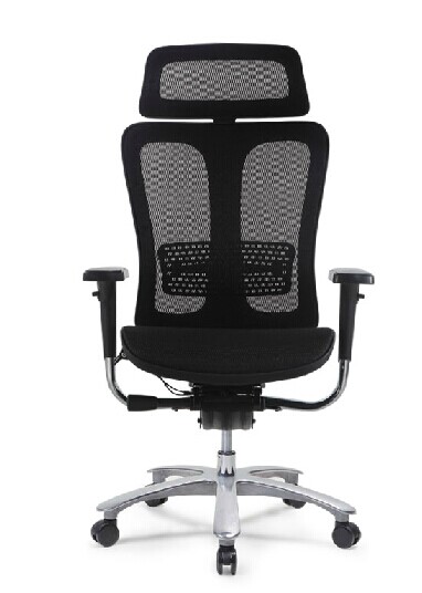 Ergonomic Office Chair with Lumbar Support Back, Adjustable Headrest (3)