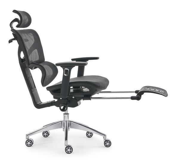 Executive Ergonomic Office Chair (1)