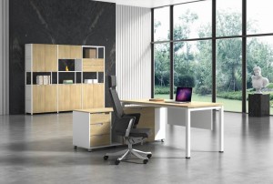 Executive Office Desk with Modesty Panel