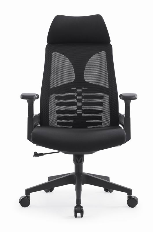 High Back Designer Executive Swivel Ergonomic Office Chair with Adjustable Arms (6)