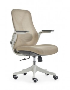 Միջին հետևի Executive Mesh 360 Swivel Ergonomics Գրասենյակային աթոռ՝ տարբեր գործառույթներով OC-B15