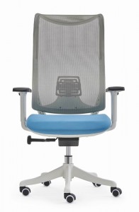 ຫນ້າທໍາອິດຫ້ອງການ Ergonomic ຫ້ອງການຄອມພິວເຕີເກົ້າອີ້ Task Chair ຕາຫນ່າງ Desk Chair ກັບຄືນໄປບ່ອນສູງ Lumbar ສະຫນັບສະຫນູນເກົ້າອີ້ເກມ