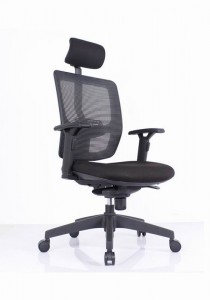 Soft Touch Mesh-takainen ergonominen tuoli