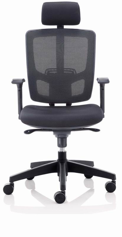 Soft-Touch Mesh Back Ergonomic Chair (4)
