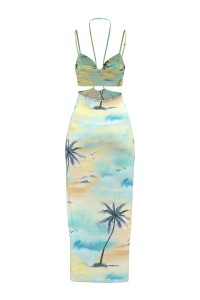 Factory ODM OEM Women′s Fashion Holiday Summer Sleeveless Printed Halter Neck Party Beach Dress