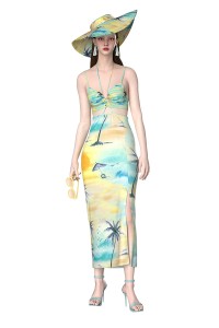 Factory ODM OEM Women′s Fashion Holiday Summer Sleeveless Printed Halter Neck Party Beach Dress