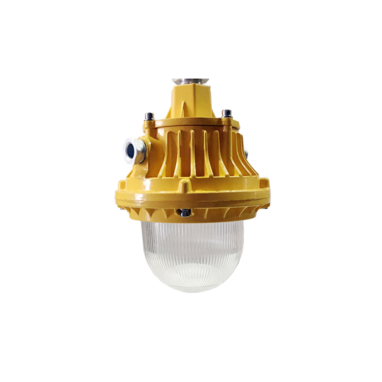 ATEX LED Explosion-proof Grade Exd IIB T4 IP66 LED Street Lamp
