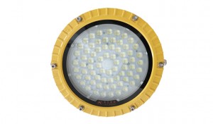 Hot New Products China LED Lighting 50W LED Flood Light Linear with Explosion Proof Outdoor Lighting for Process LED Lamps with UL IP66/IP 67 IP 68 UL TUV Certificates Factory Direct